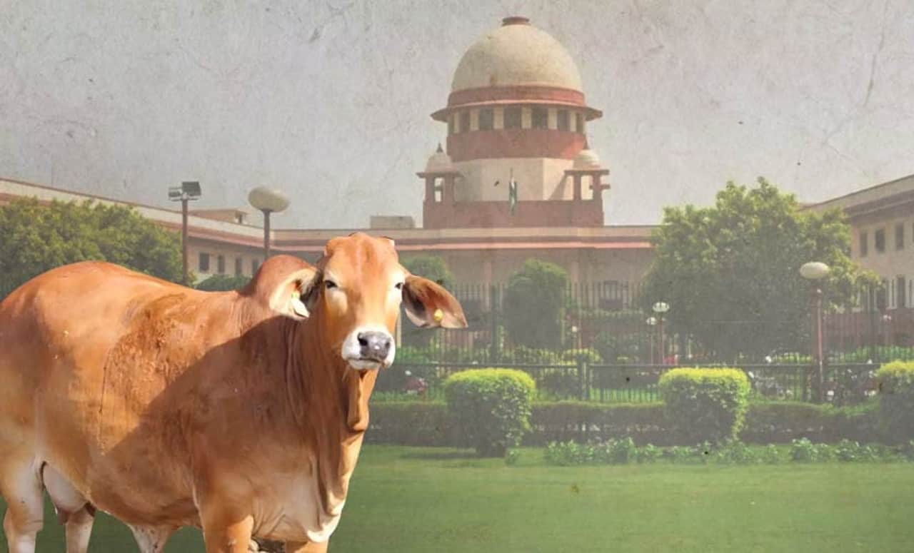 गाय की कुर्बानी पर कलकत्ता हाईकोर्ट का बड़ा फैसला, पशु वध पर.....