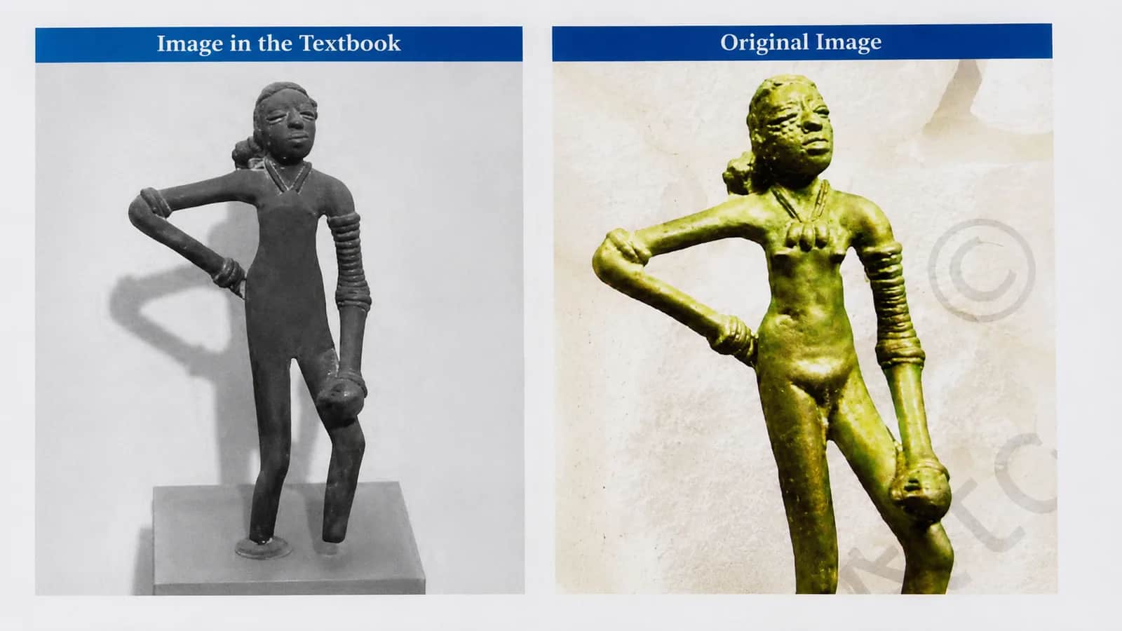 NCERT Corrects Textbook Image