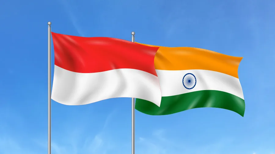 Indo-Indonesia ties