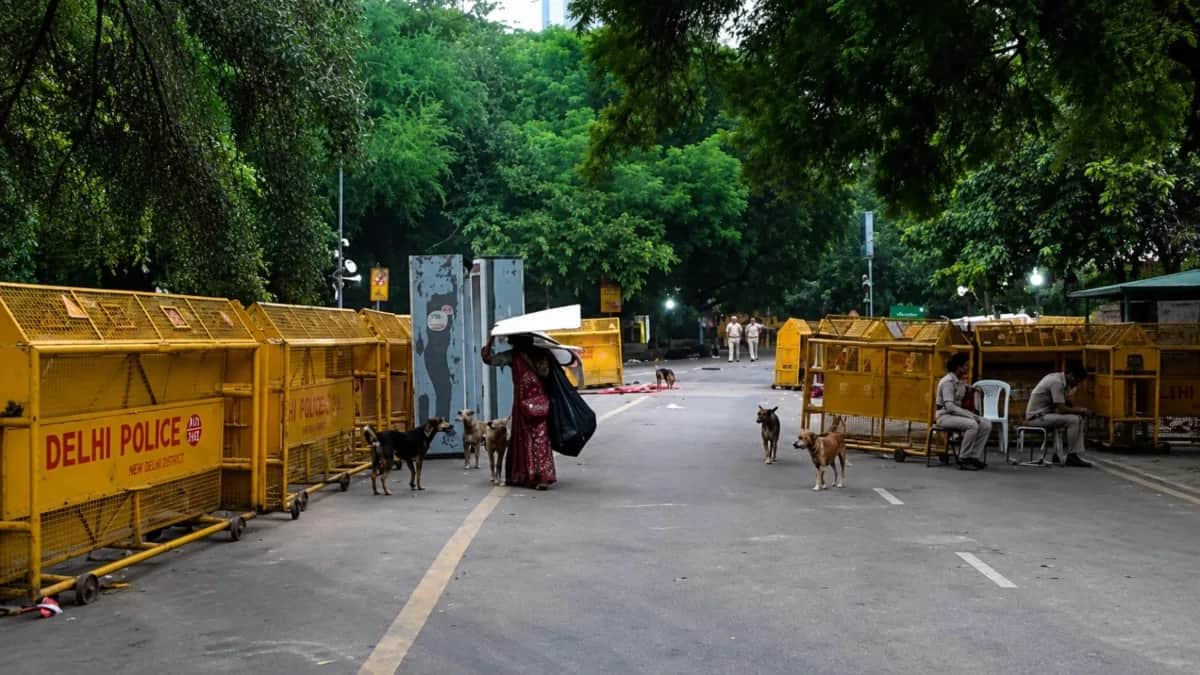 jantar mantar